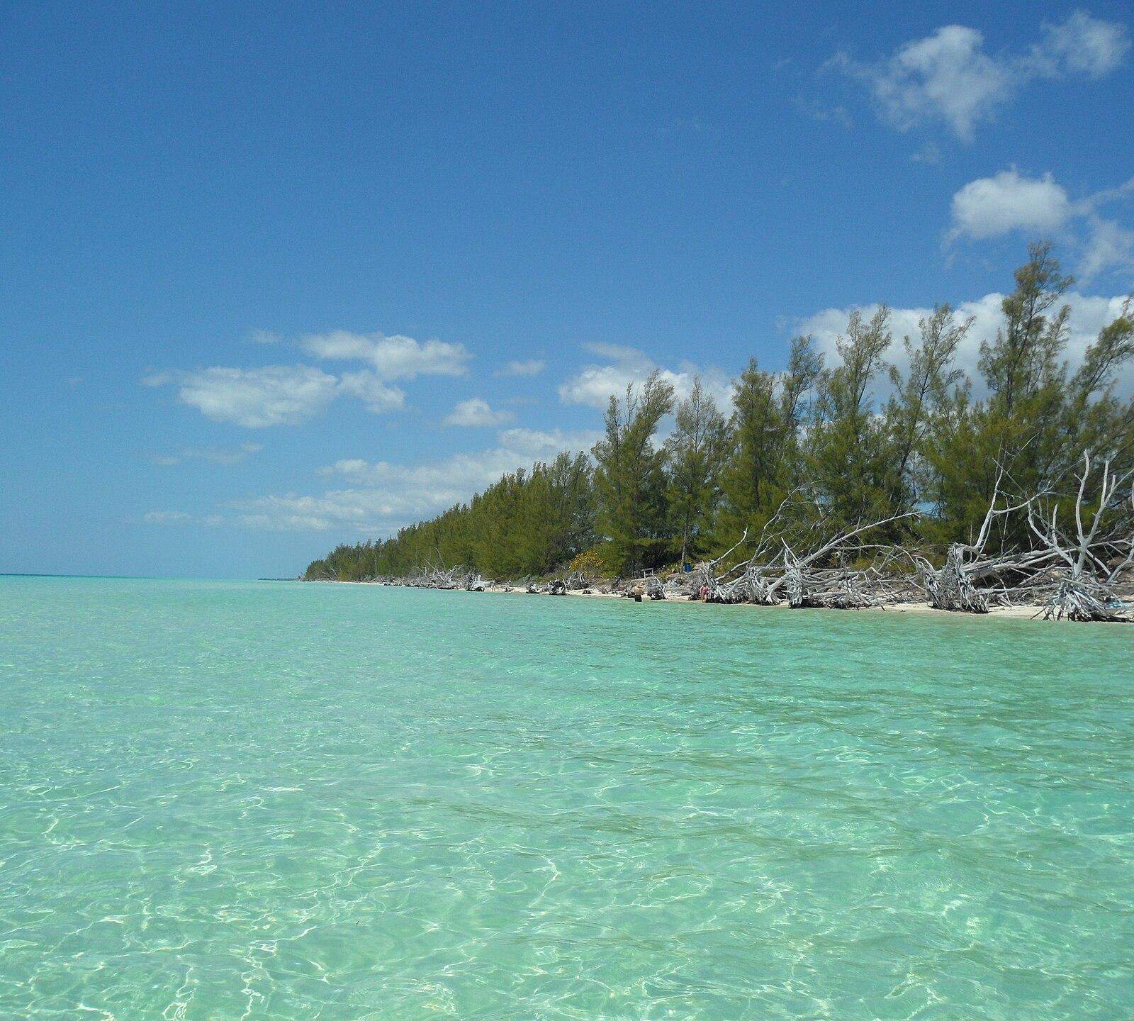 Beaches Startups Close Seed Deals as New Tech Hub Opens