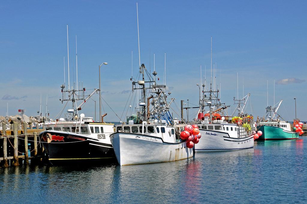 The Beaches Community: Key Events and Updates This Week