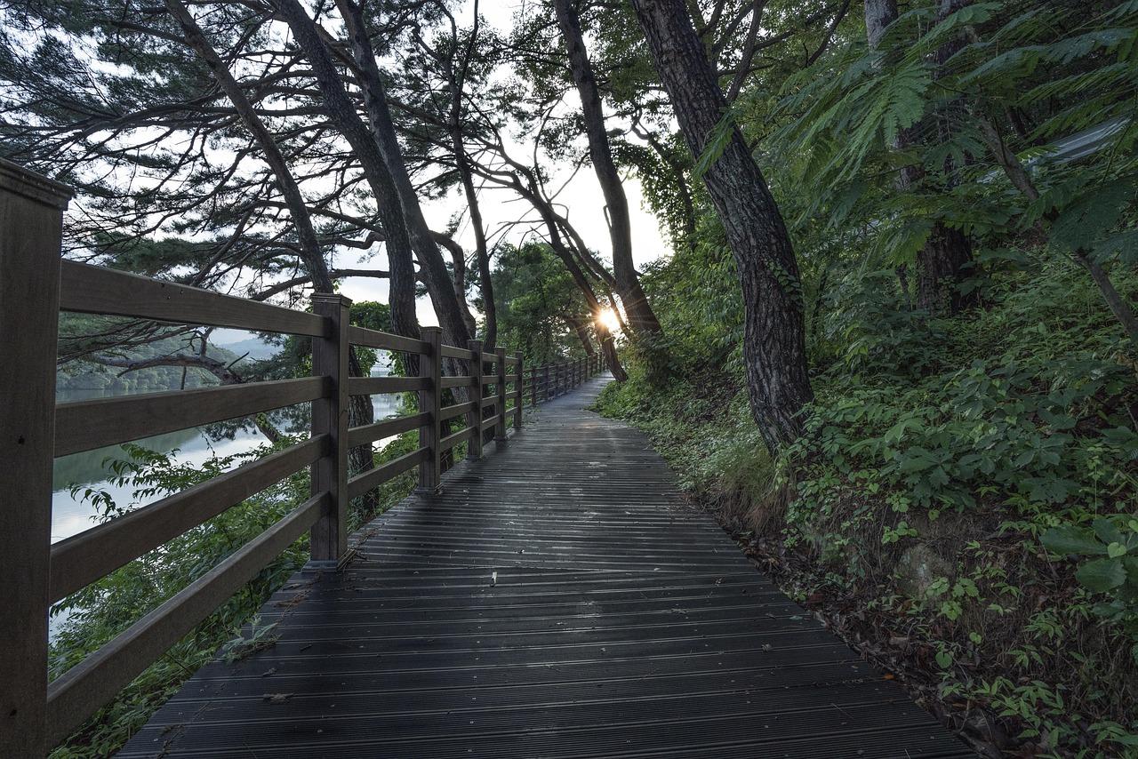 Dawn Breaks Over High Park: The Best Sunrise Spots for Morning Meditation and Yoga