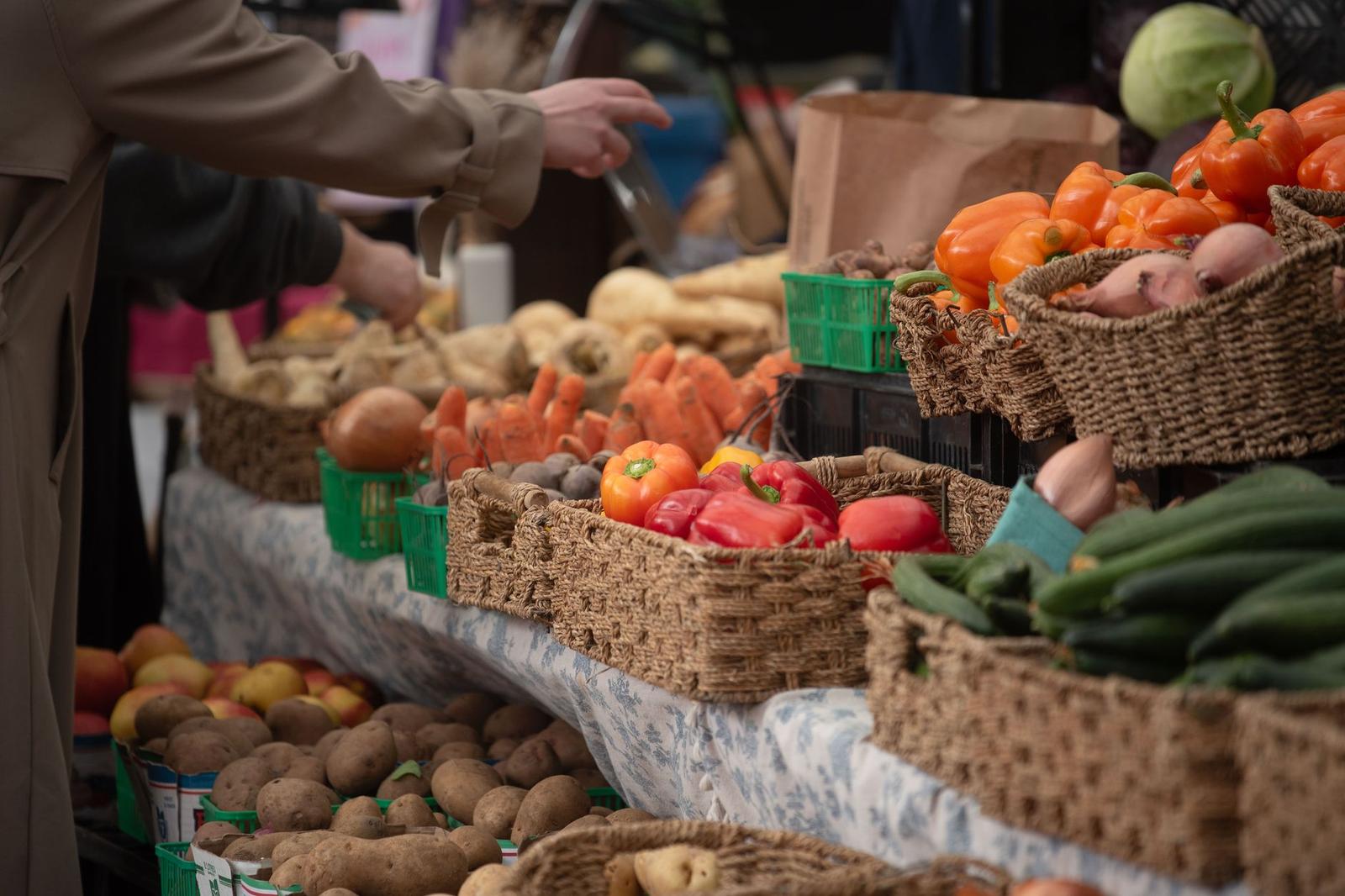 Vibrant Farmers Market in Toronto with Fresh Produce