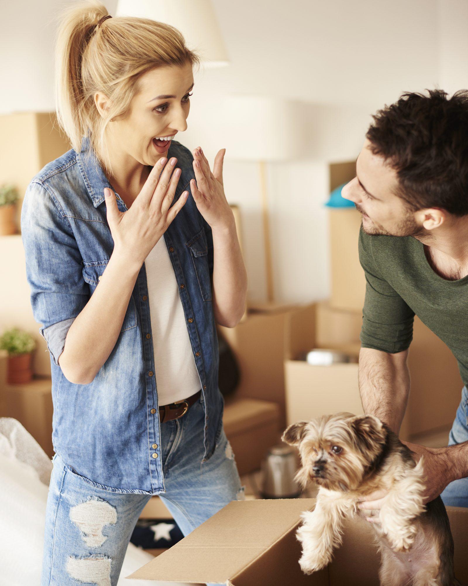 Downtown Residents Navigate Pet Licensing Rules Before Moving In