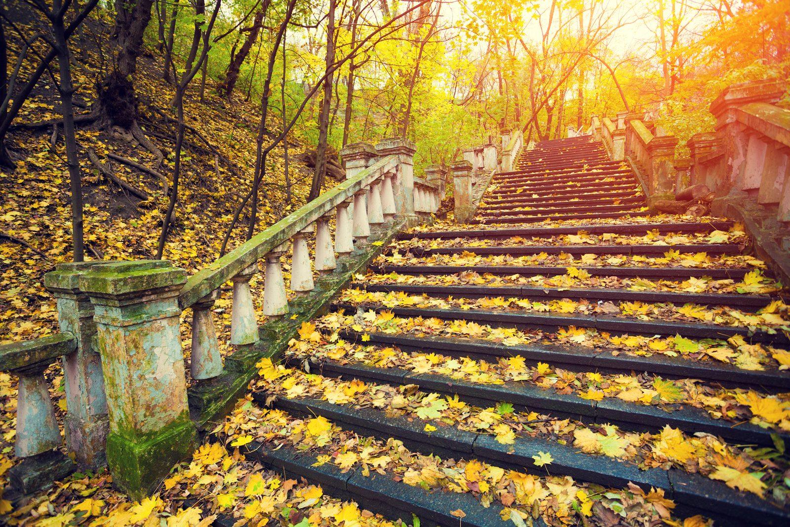 Accessing Free Mental Health Services in High Park: A Guide to Local Support