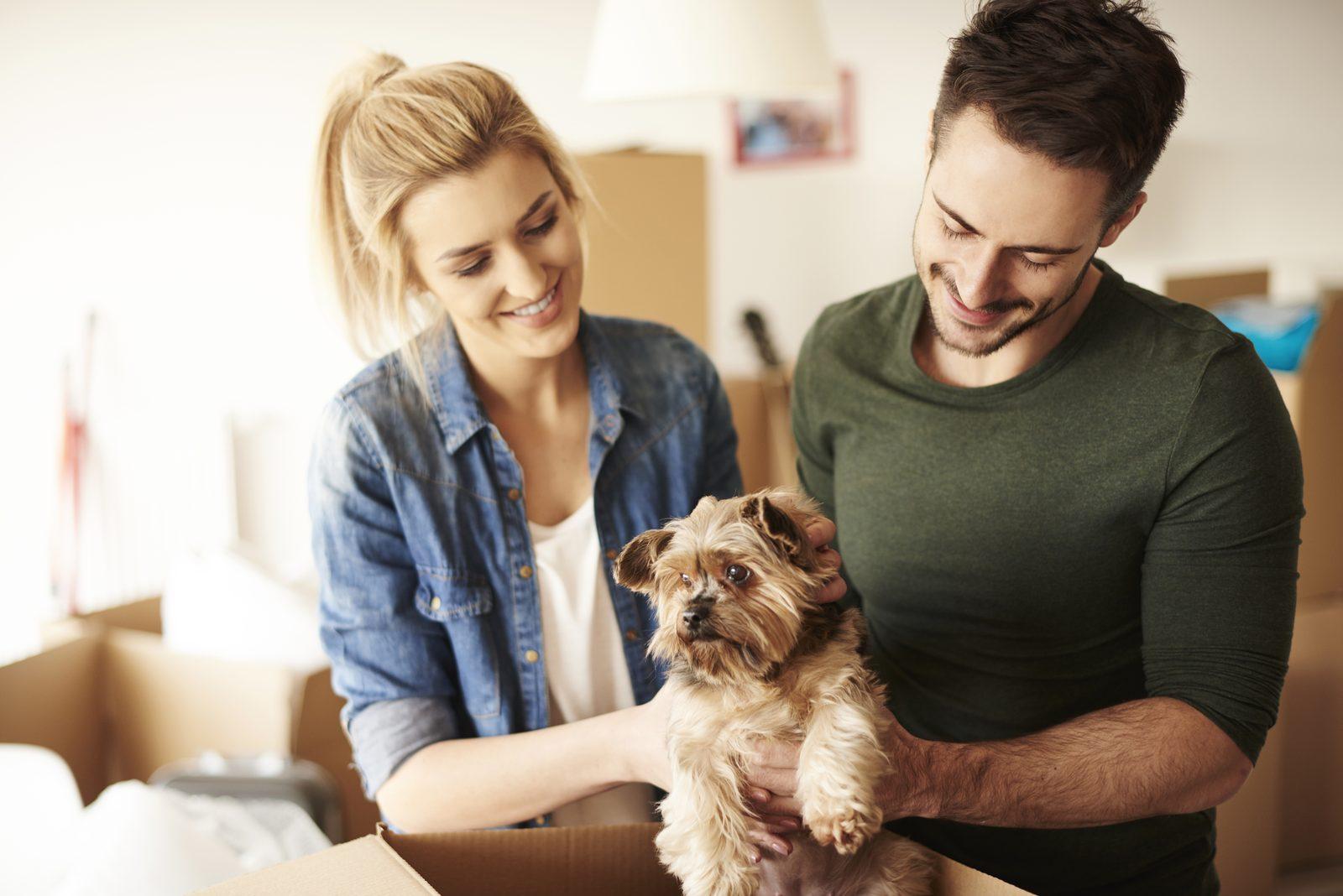 The Annex Releases New Pet Ownership Rules and Approval Requirements
