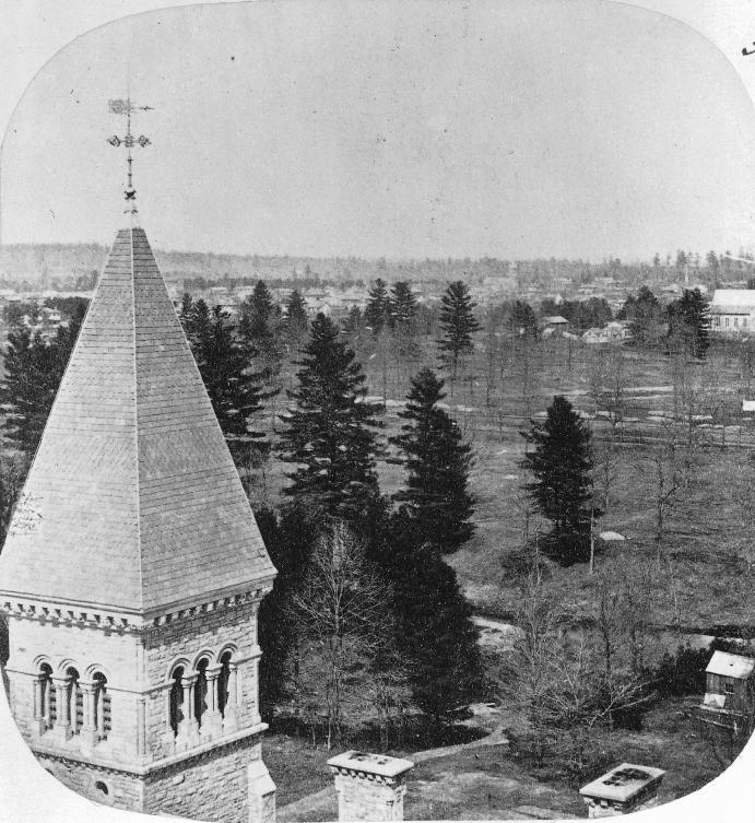 Yorkville as seen from the tower of the University