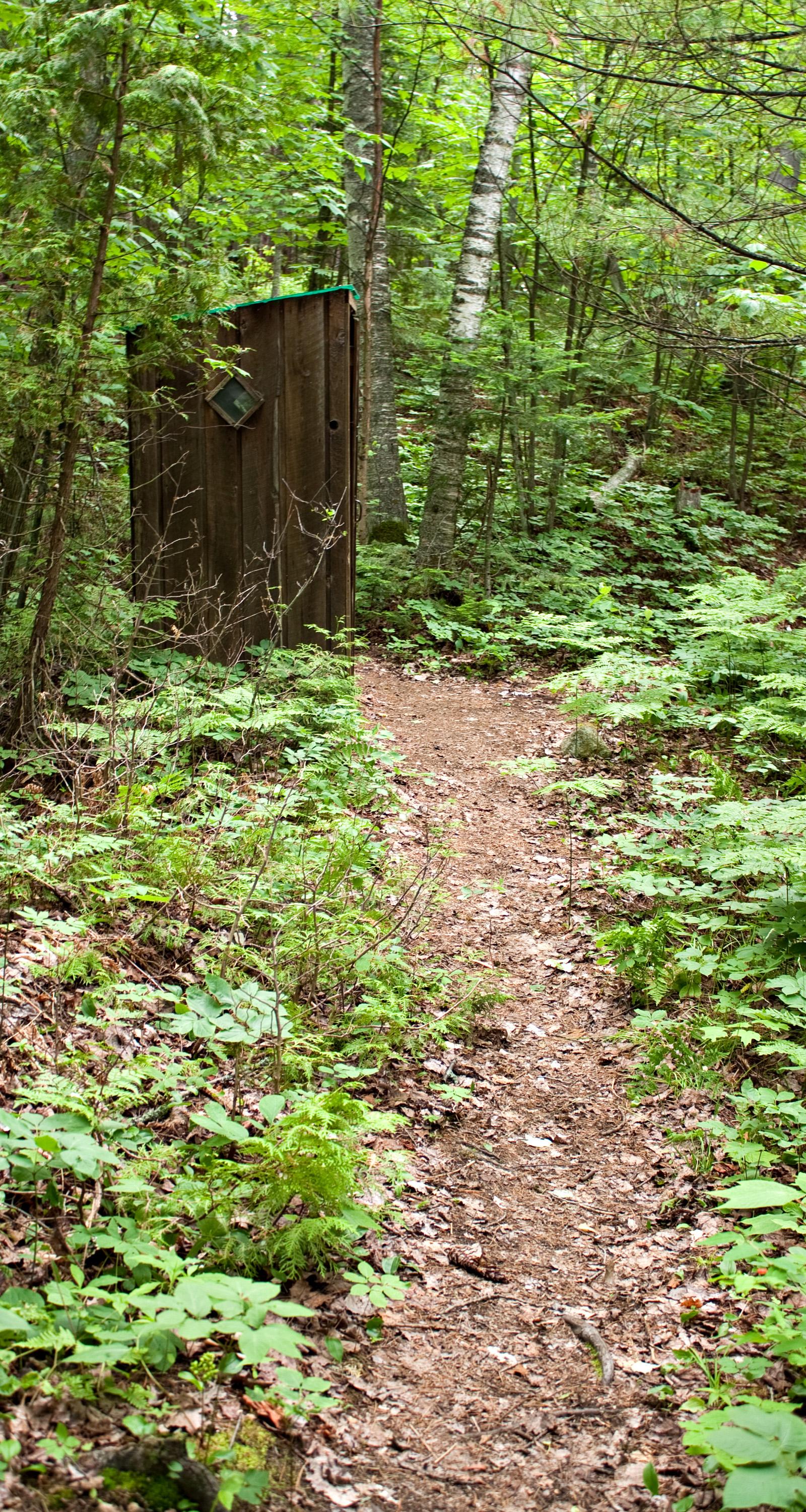 High Park Secures Funding for Trail and Nature Centre Upgrades