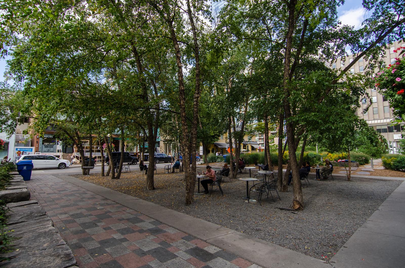 Temperature Swings, Street Lights and Traffic Noise Cut Into Sleep Quality Across Yorkville